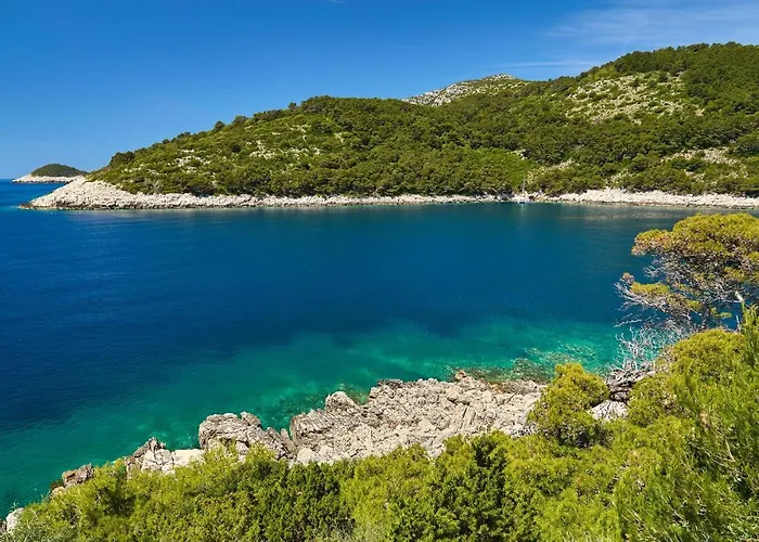 1 Bedroom In Apartment *